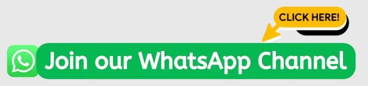 Boldhub WhatsApp Chanel