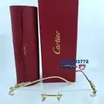 Cartier Eyeglass Frame - D1