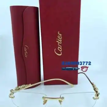 Cartier Eyeglass Frame - D1