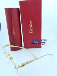Cartier Eyeglass Frame - D1